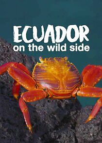 Watch Ecuador: On the Wild Side