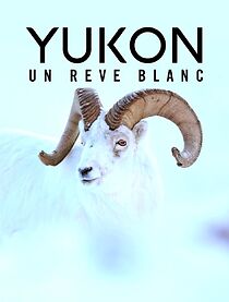 Watch Yukon - Un rêve blanc