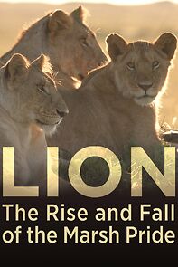 Watch Lion: The Rise and Fall of the Marsh Pride