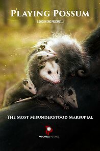 Watch Playing Possum (Short 2023)
