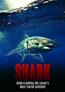 Watch Shark