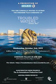 Watch Troubled Waters: A Turtle's Tale
