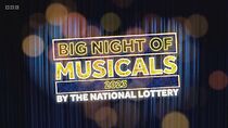 Watch Big Night of Musicals 2023 by the National Lottery