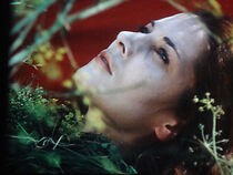 Watch A Pousada das Chagas (Short 1972)