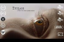 Watch Eyelash (Short 2020)