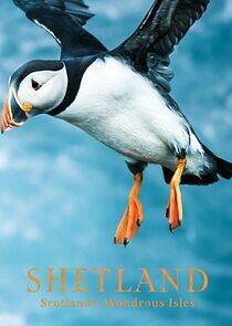 Watch Shetland: Scotland's Wondrous Isles