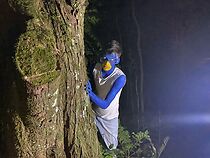 Watch A Maldição dos Backyardigans (Short 2022)