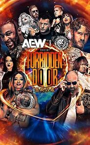 Watch All Elite Wrestling x New Japan Pro Wrestling: Forbidden Door (TV Special 2024)