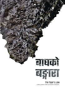 Watch Bagh Ko Bangara