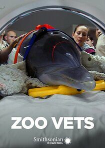 Watch Zoo Vets