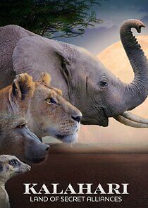 Watch Kalahari: Land of the Secret Alliances