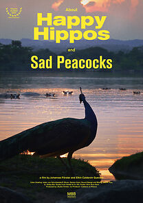 Watch About Happy Hippos and Sad Peacocks (Short 2024)