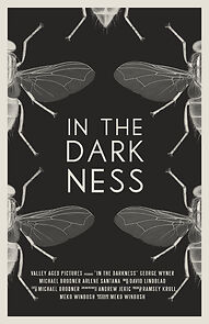 Watch In the Darkness (Short 2021)
