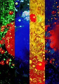 Watch Tiempo Pasado (Short 2024)