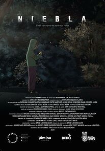 Watch Niebla (Short 2023)