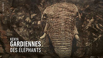 Watch Kenya - Gardiennes des éléphants