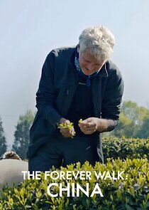 Watch The Forever Walk: China