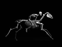 Watch Strangers (Short 2011)