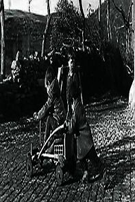 Watch Falamos de Rio de Onor