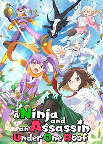 Watch A Ninja and an Assassin Under One Roof