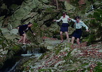 Watch Swamps & Ponds (Short 2019)