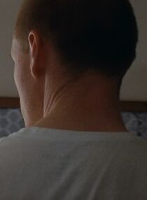 Watch The Bird Feeder (Short 2024)