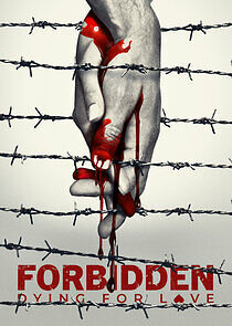 Watch Forbidden: Dying for Love