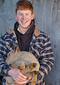 Watch Saol Na Feirme