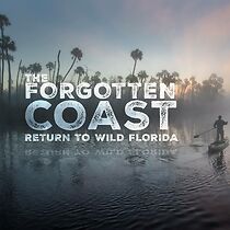 Watch The Forgotten Coast