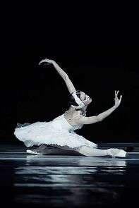 Watch Swan Lake - Ballet Company of the National Opera of Ukraine
