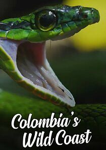 Watch Colombia's Wild Coast