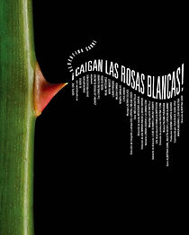Watch ¡Caigan las rosas blancas!