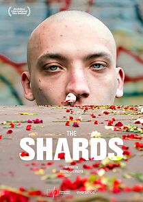 Watch The Shards