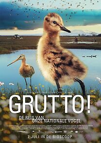 Watch Grutto!
