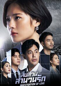 Watch Investigation of Love