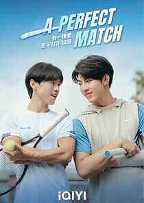Watch A Perfect Match