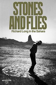 Watch Stones and Flies: Richard Long in the Sahara (Short 1988)