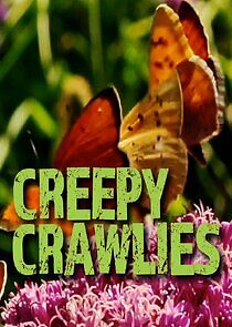 Watch Creepy Crawlies