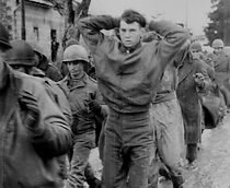 Watch Survivors of Malmedy: December 1944