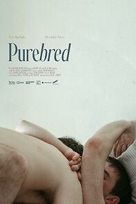 Watch Purebred (Short 2025)