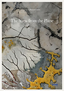 Watch The View from the Plane (Short 2024)