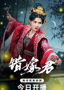 Watch Reborn in Vengeance