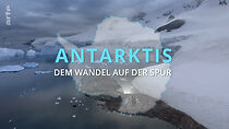 Watch Antártica: En Búsqueda de la Adaptación