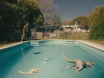 Watch El Mundo Al Revés