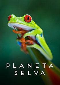 Watch Planeta Selva
