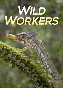 Watch Wild Workers