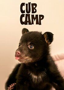 Watch Cub Camp