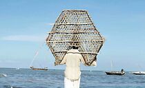 Watch Wondarland (Short 2024)