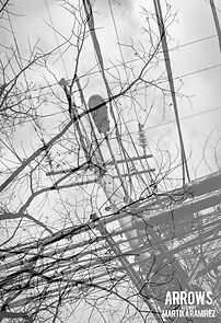 Watch Arrows (Short 2012)