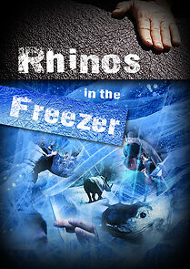 Watch Rhinos in the Freezer